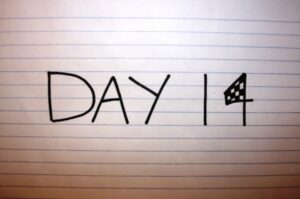 Day 14